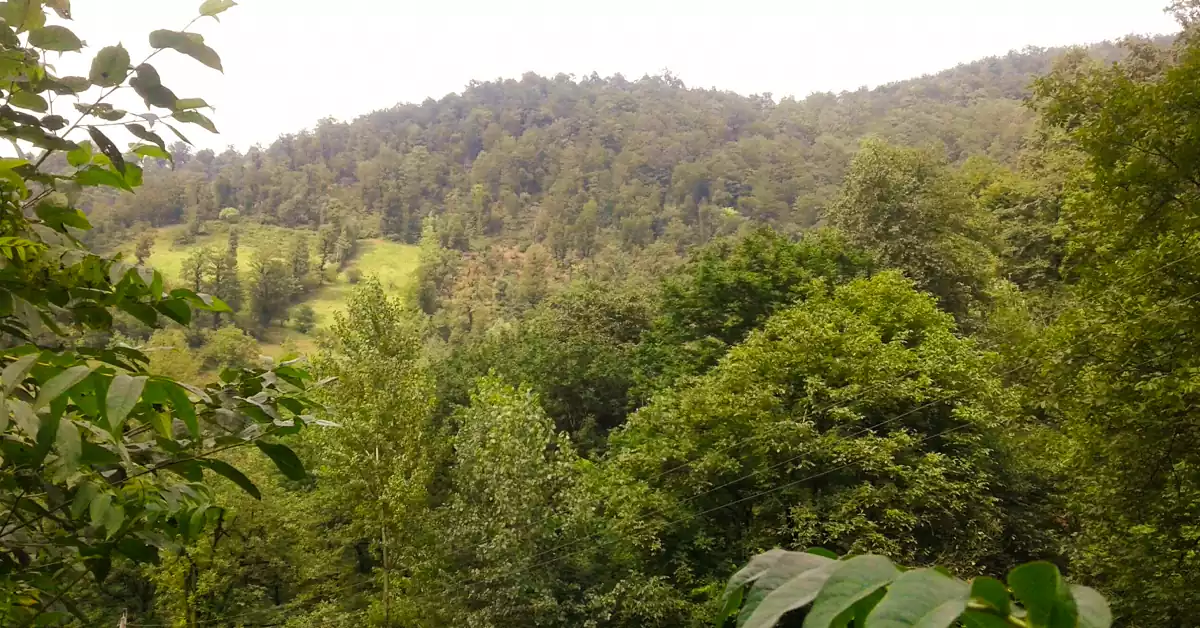 راهنمای بازدید از روستای دمیر اوغلی کش آستارا