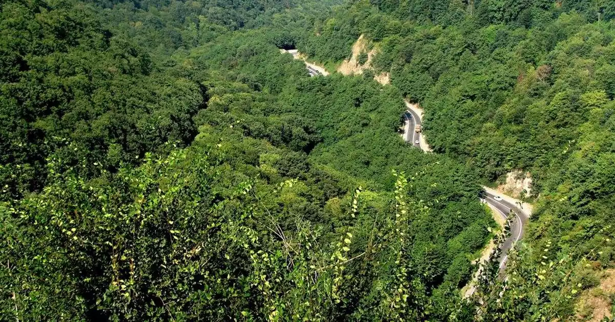 پارک جنگلی بی بی یانلو | جاذبهای محبوب در گیلان