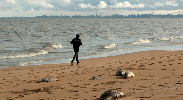 دریای خزر؛ بزرگترین دریاچه جهان در ایران